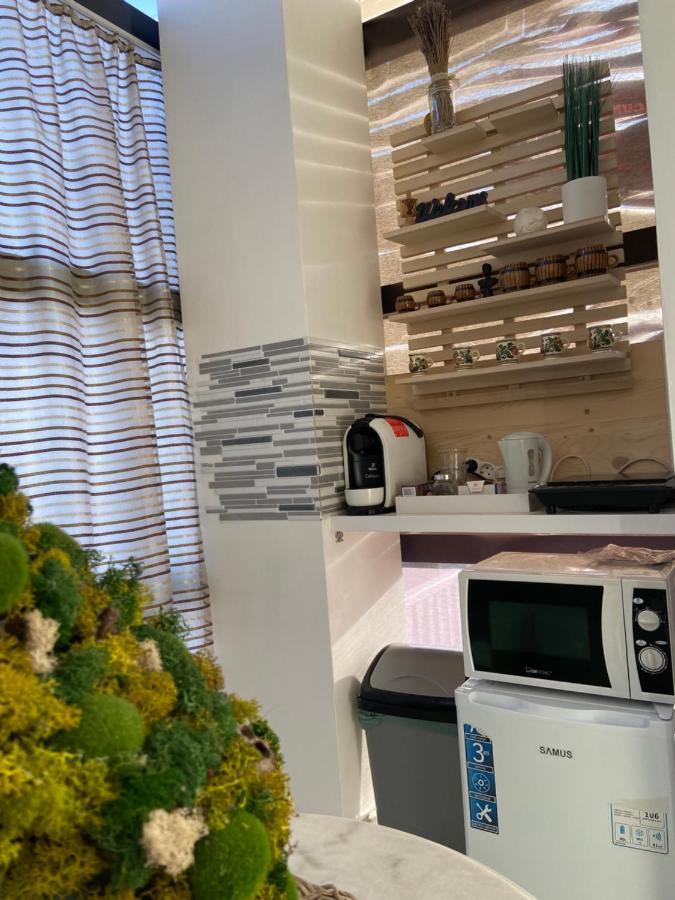 Aqua Apartment Satu Mare